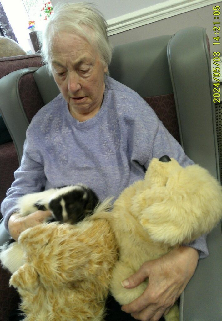 Nightingale Care Home