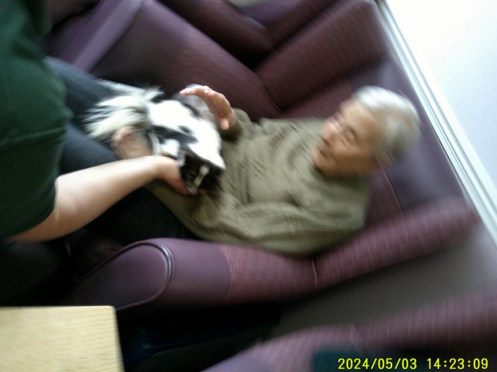 Nightingale Care Home