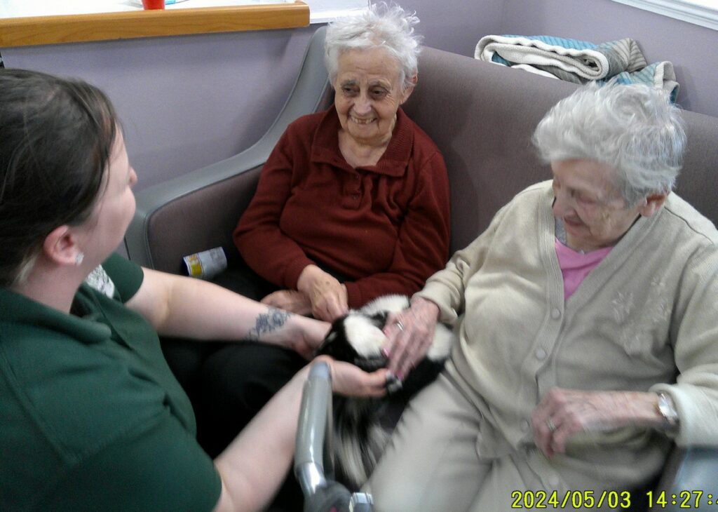 Nightingale Care Home