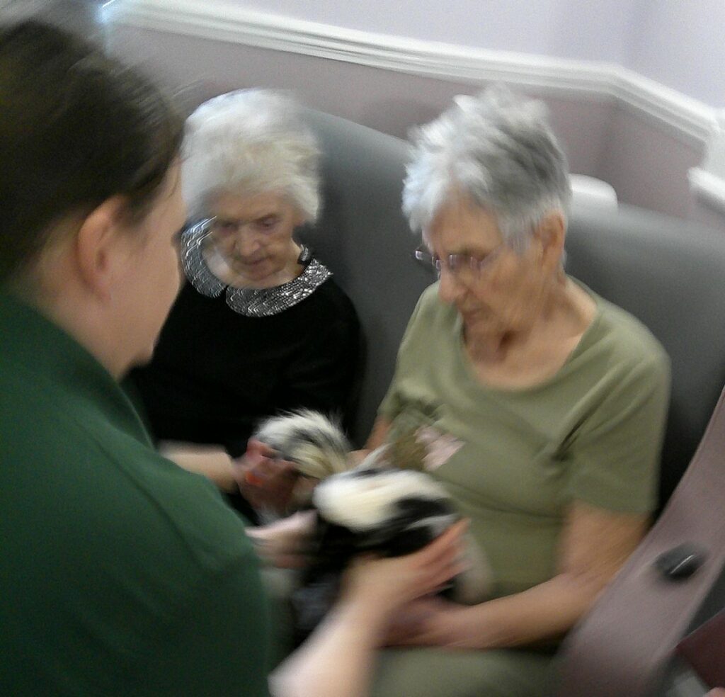 Nightingale Care Home