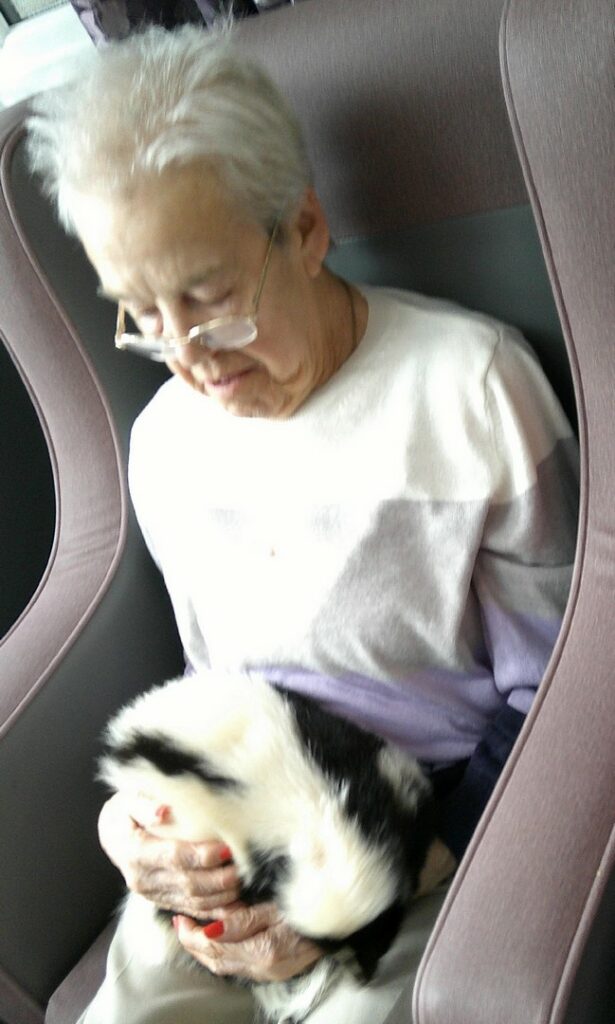 Nightingale Care Home