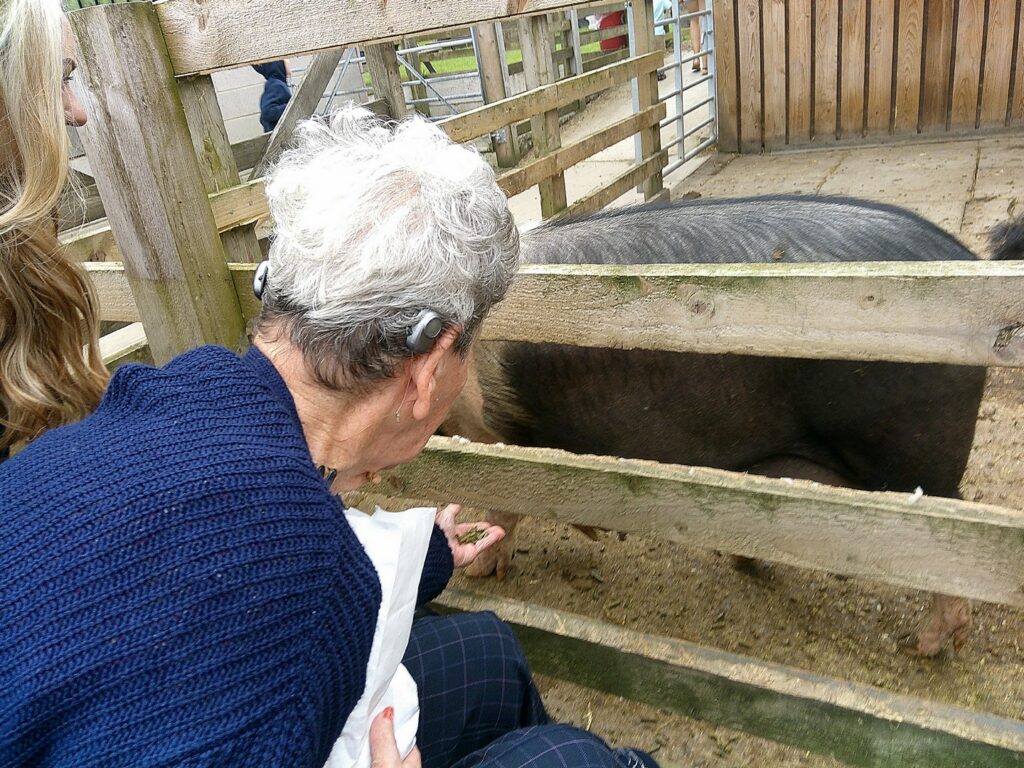 Nightingale Care Home