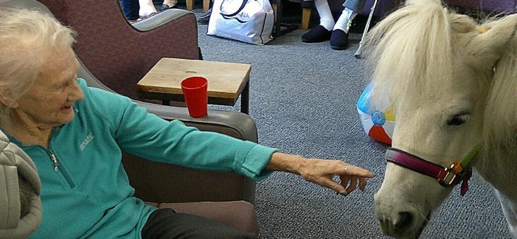 Nightingale Care Home
