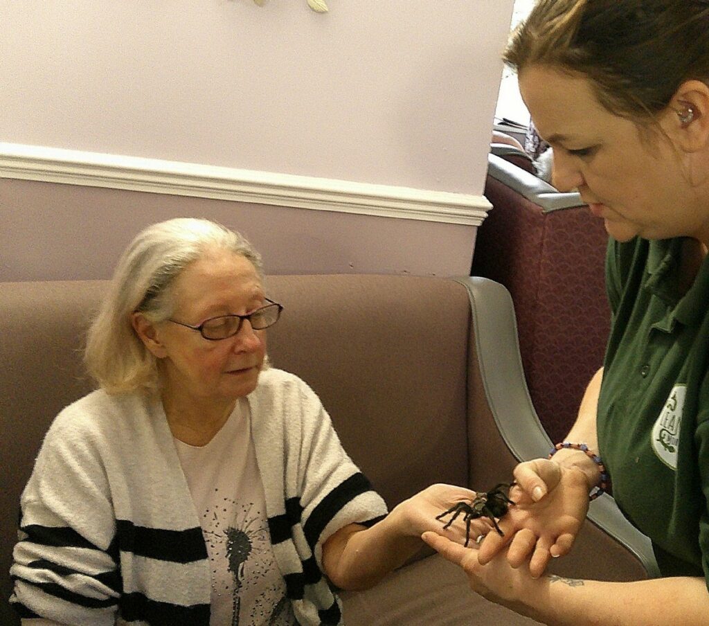 Nightingale Care Home