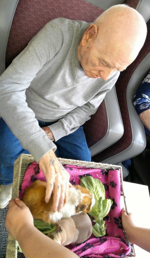 Nightingale Care Home