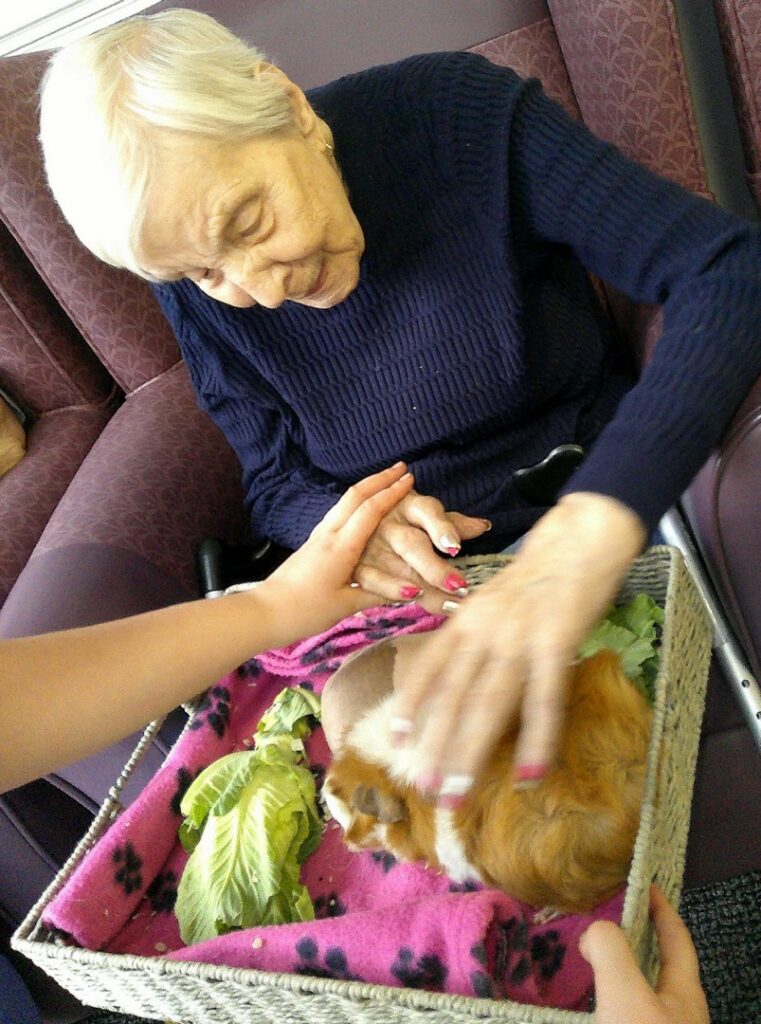 Nightingale Care Home
