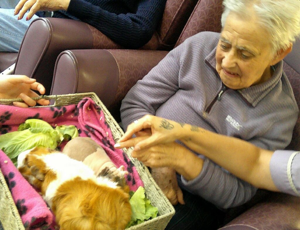 Nightingale Care Home