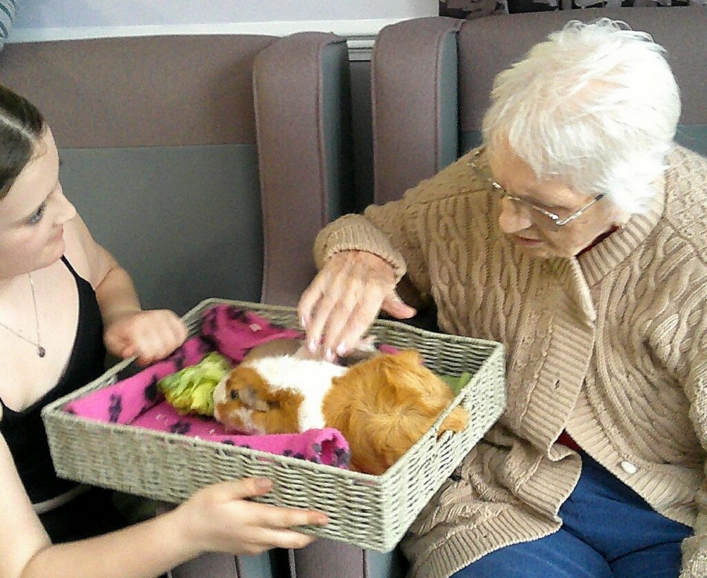 Nightingale Care Home
