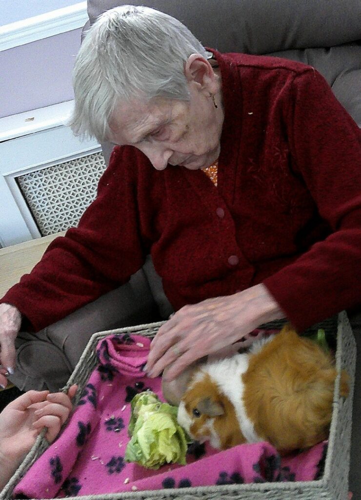 Nightingale Care Home