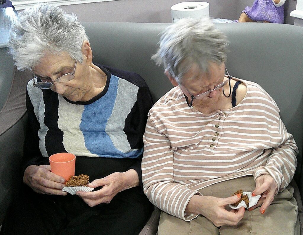 Nightingale Care Home