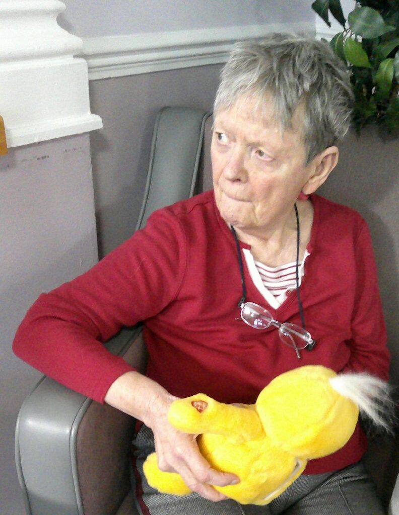 Nightingale Care Home