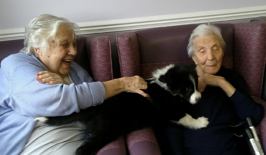 Nightingale Care Home