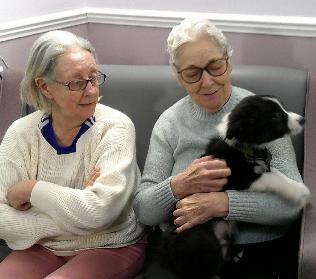Nightingale Care Home