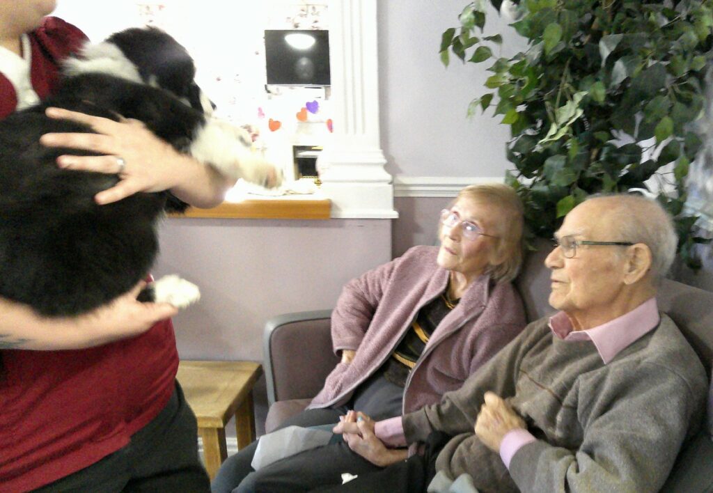 Nightingale Care Home