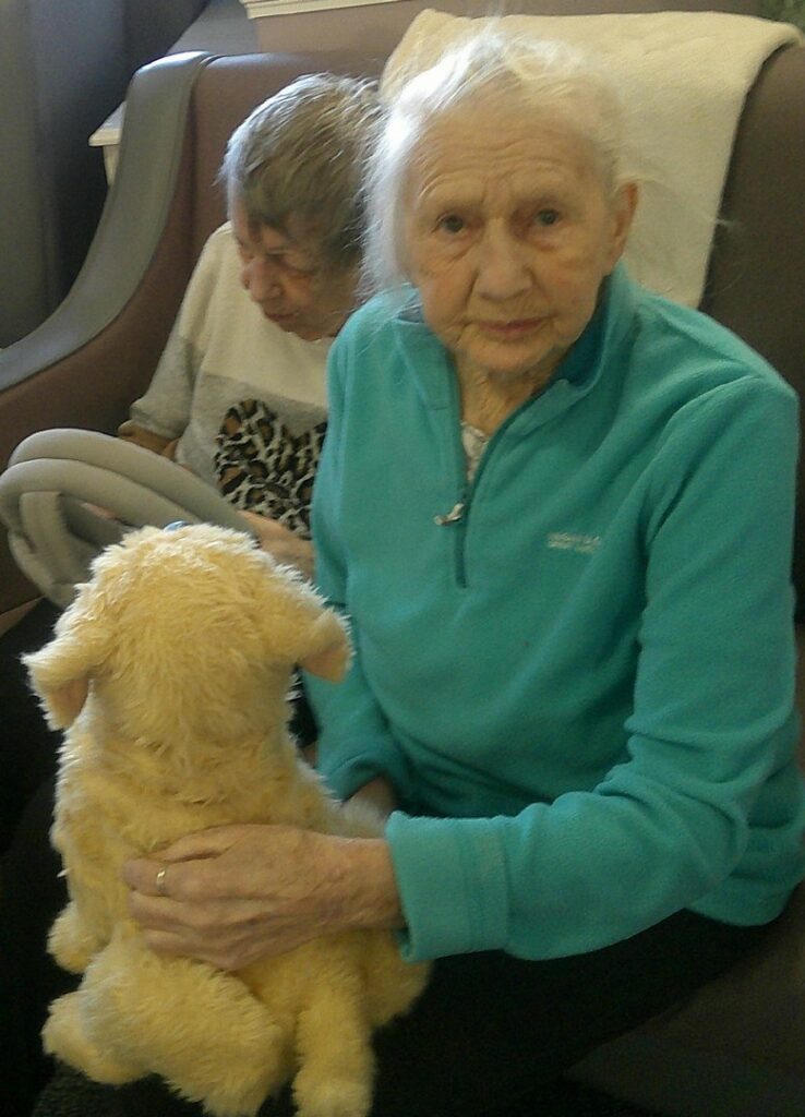 Nightingale Care Home