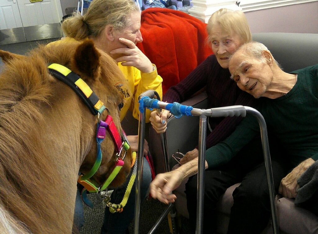Nightingale Care Home