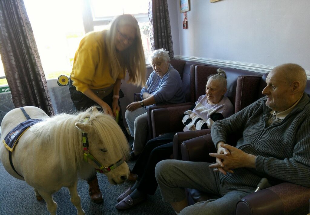 Nightingale Care Home