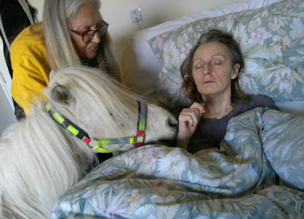 Nightingale Care Home