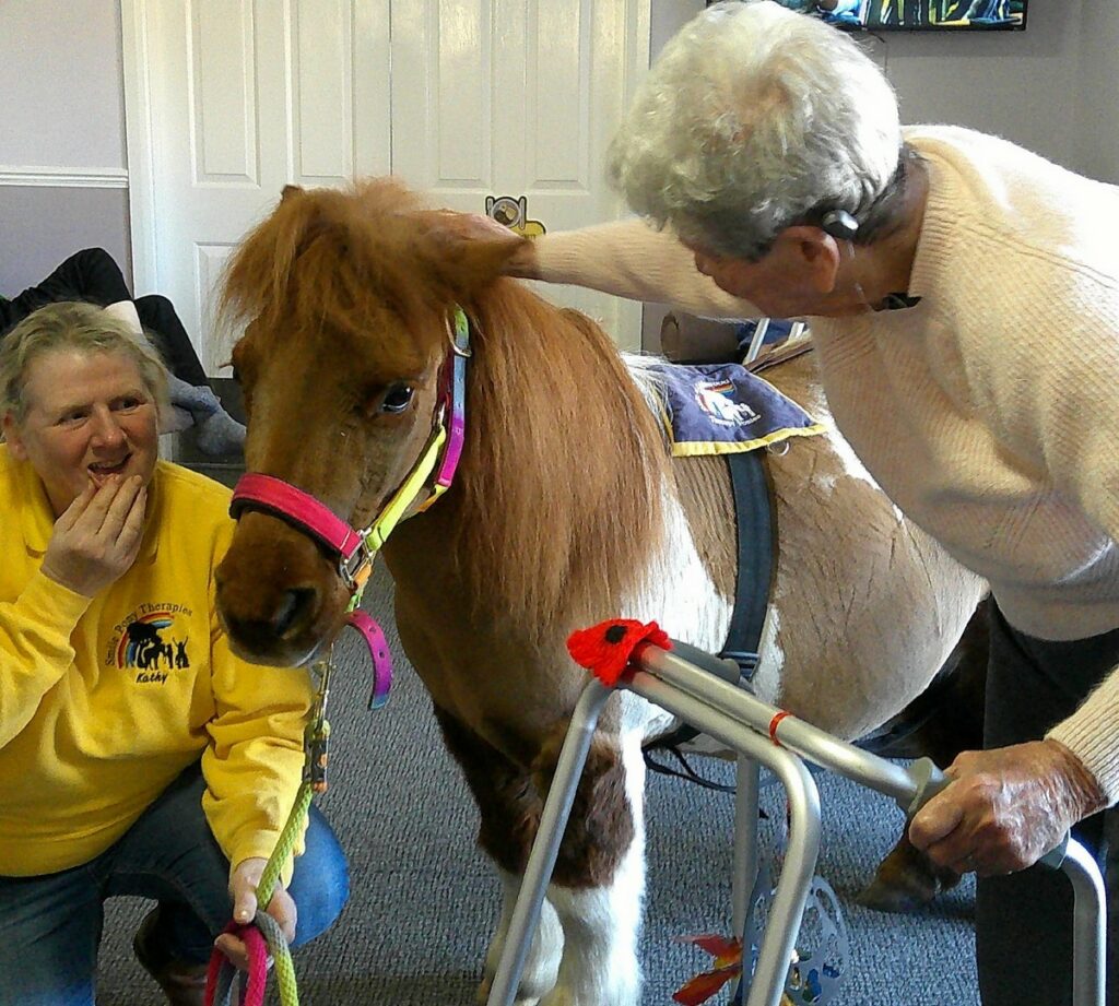 Nightingale Care Home