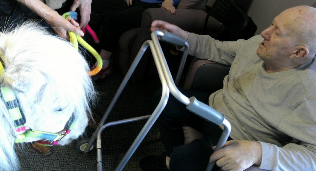 Nightingale Care Home