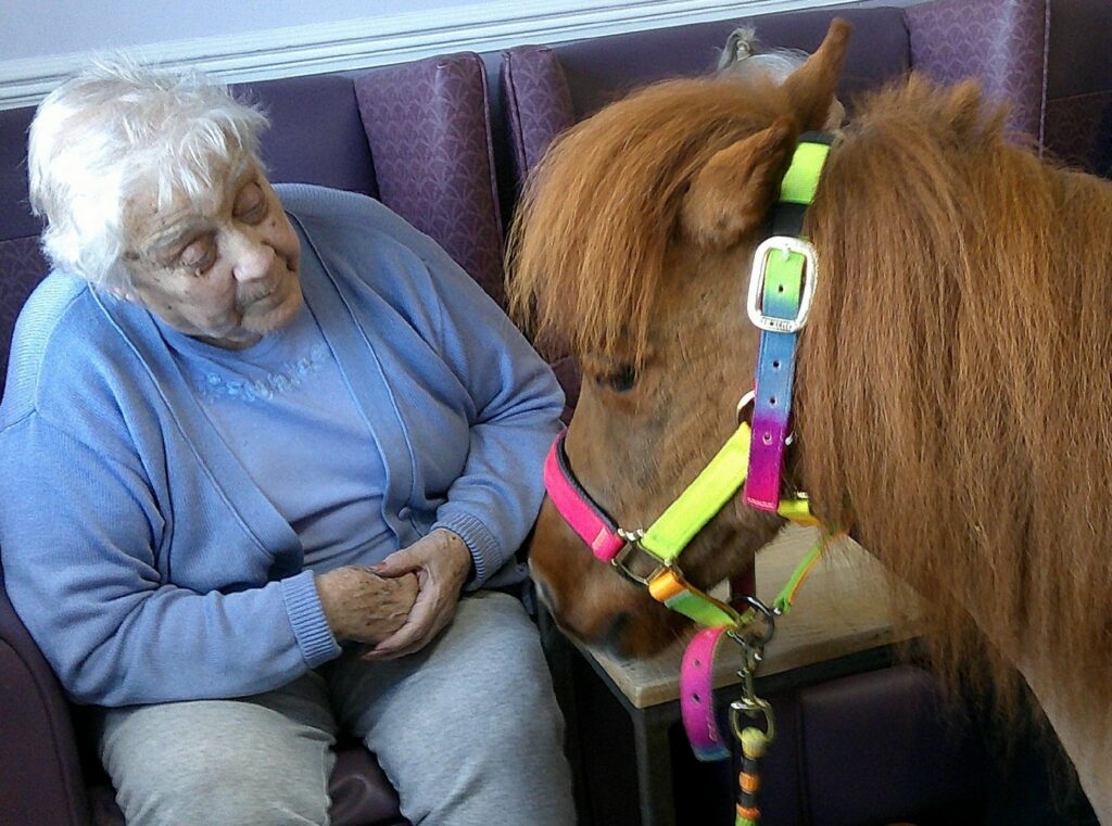 Nightingale Care Home